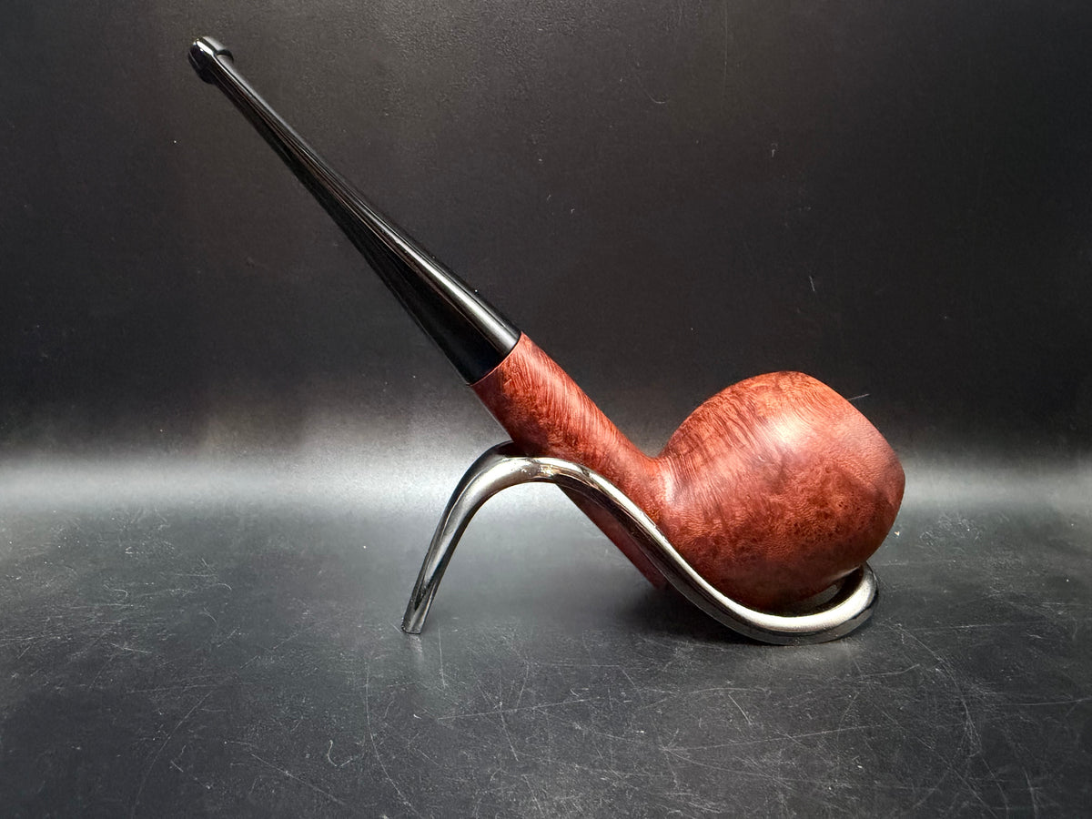 Jobey Acorn?